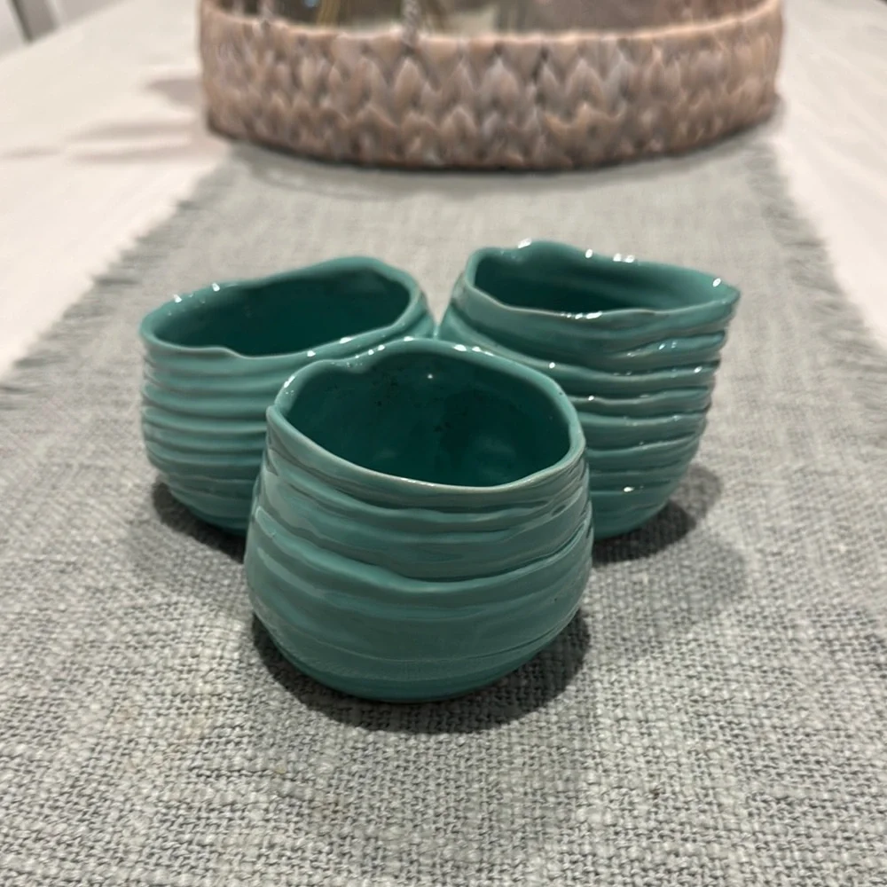 Elegant Teal Ceramic Planters